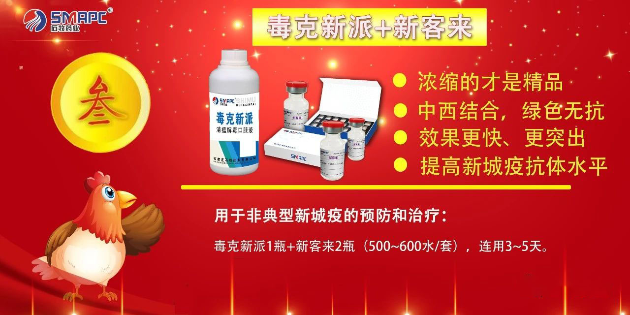 威廉希尔亚洲公司_中国官网