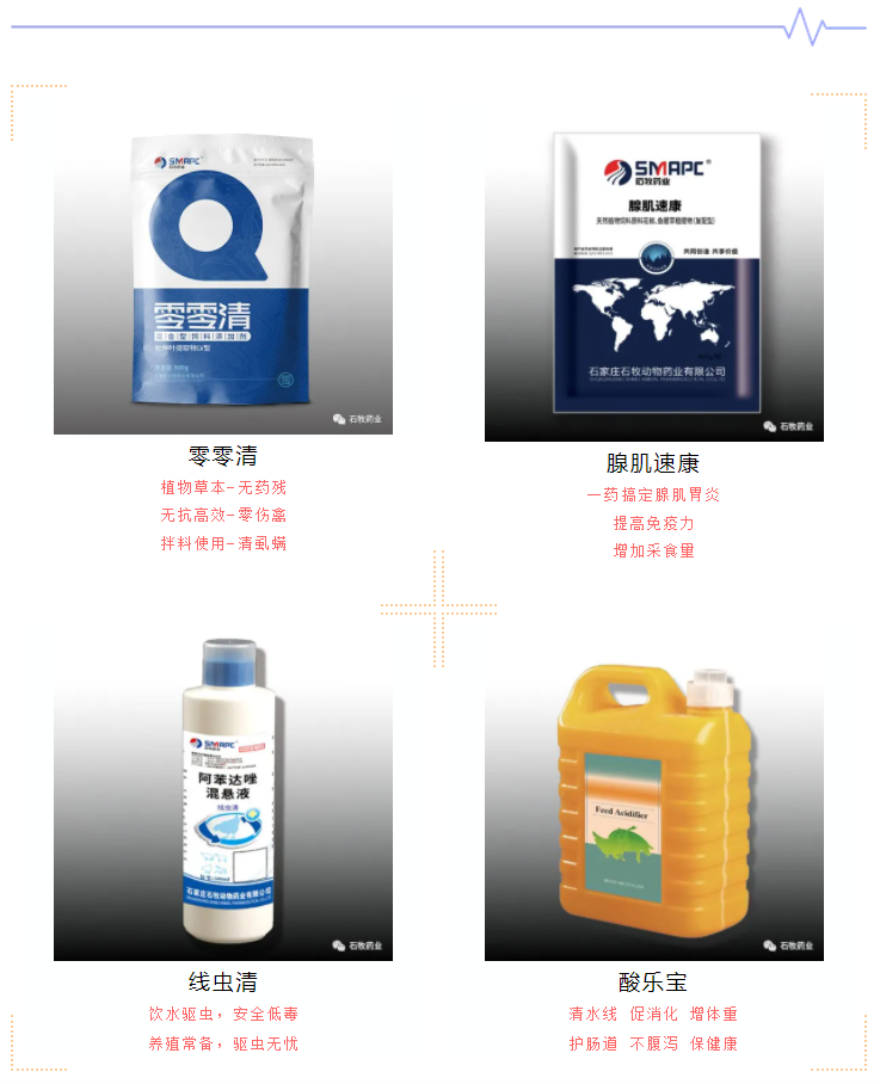 威廉希尔亚洲公司_中国官网