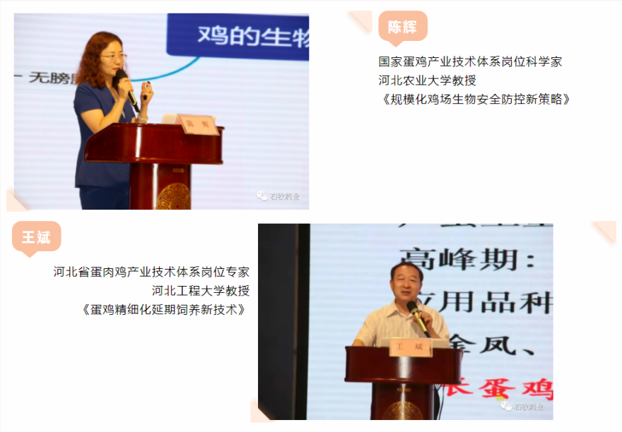 威廉希尔亚洲公司_中国官网